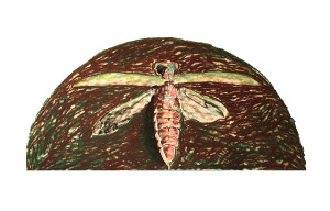 EAB Adult
