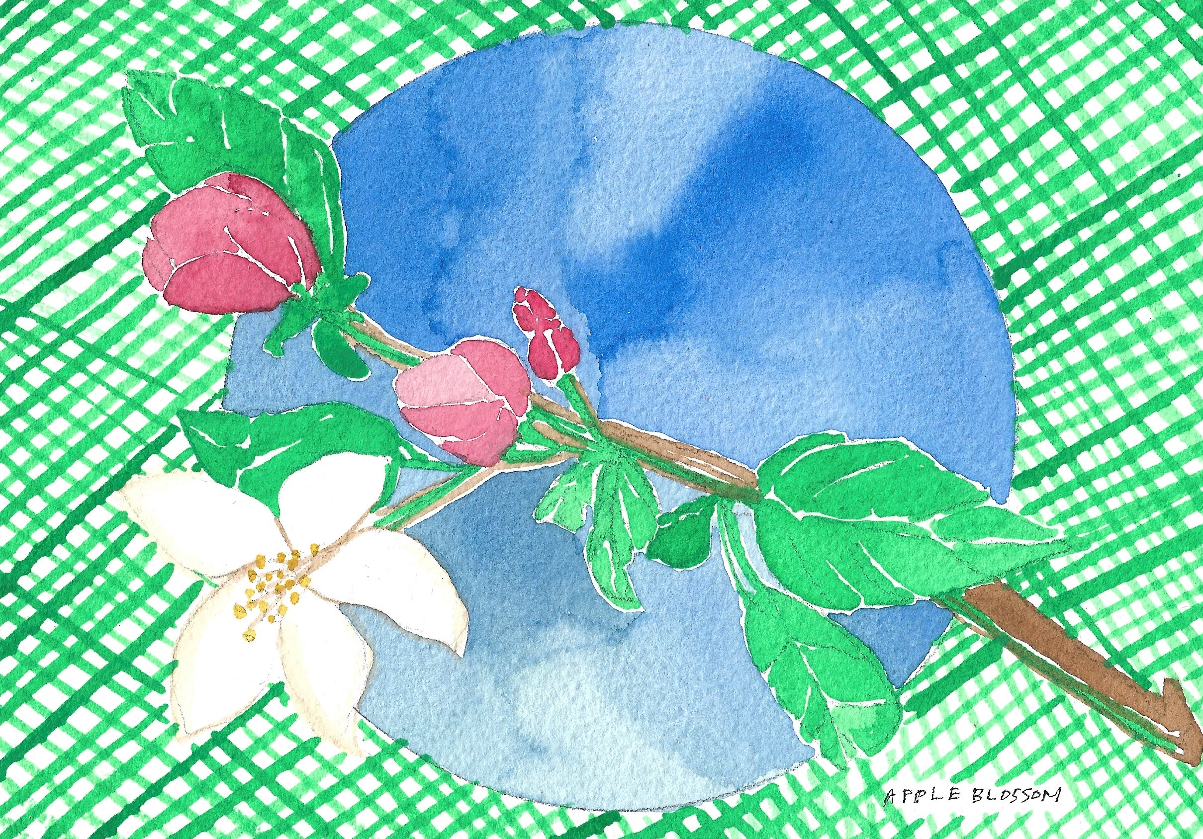 A watercolor illustration featuring a large white flower and smaller red flowers, against a round blue shape, over a green grid, on textured paper.