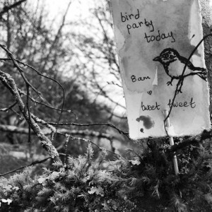 tea party for birds